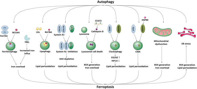 FIGURE 2