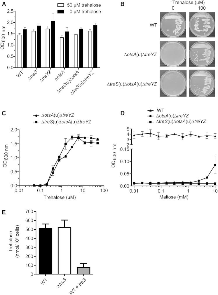 Figure 2