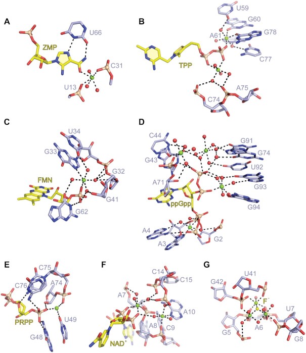 Figure 7.