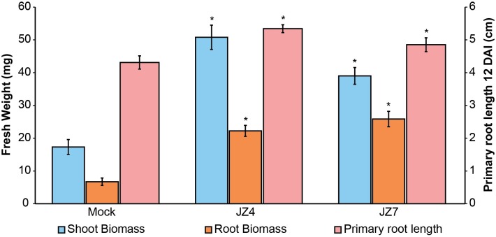 Fig 5