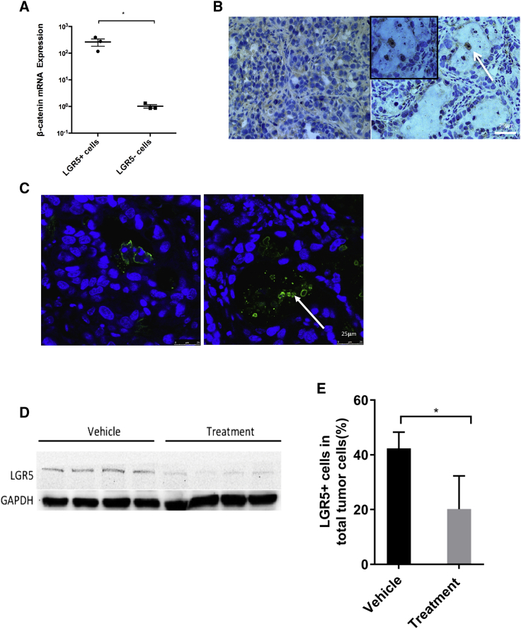 Figure 5