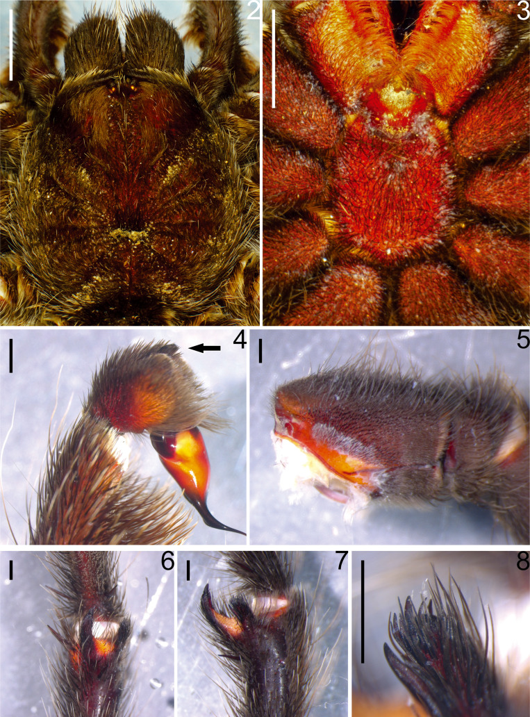 Fig. 2-8.