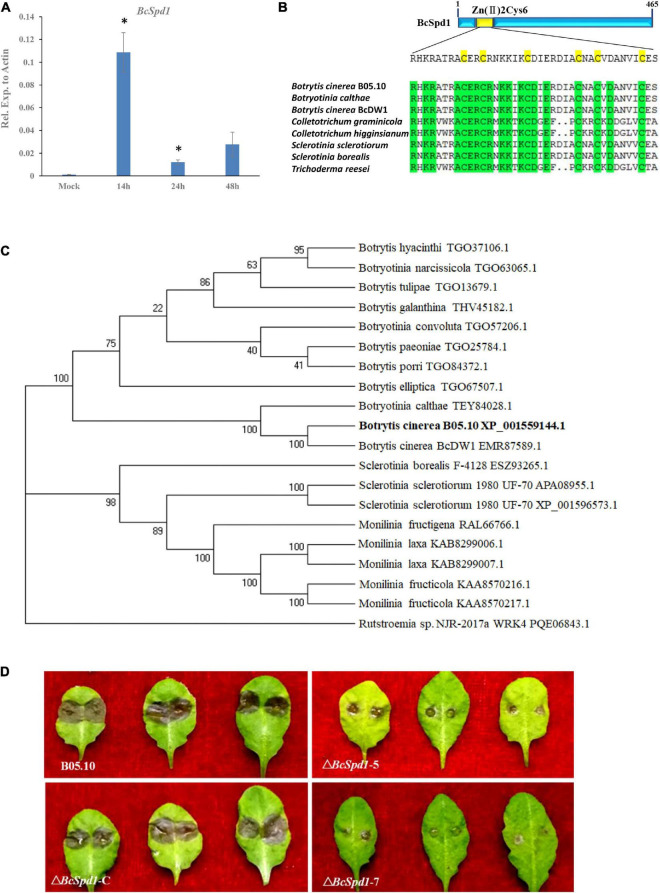 FIGURE 1