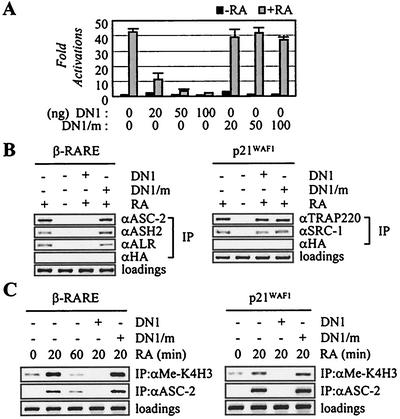 FIG. 7.