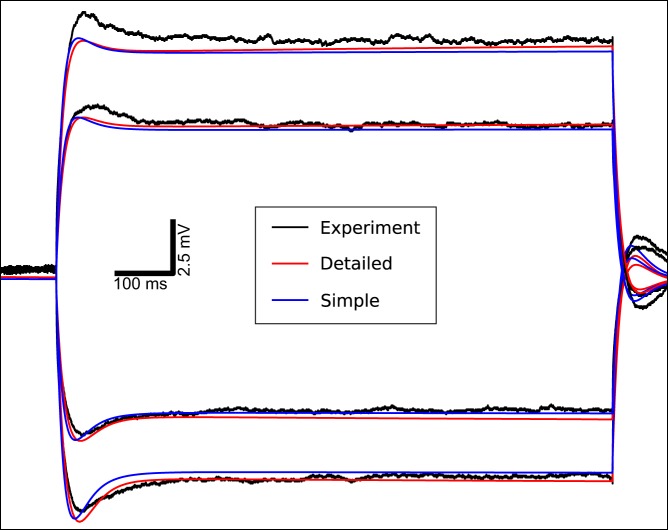 Fig. 5.