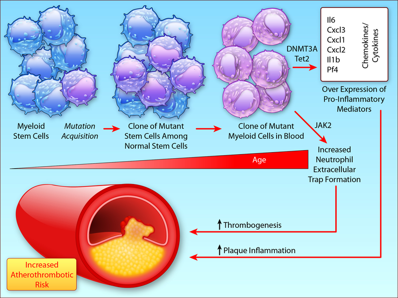 Figure 1A: