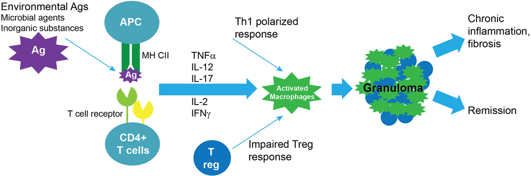 Figure 1: