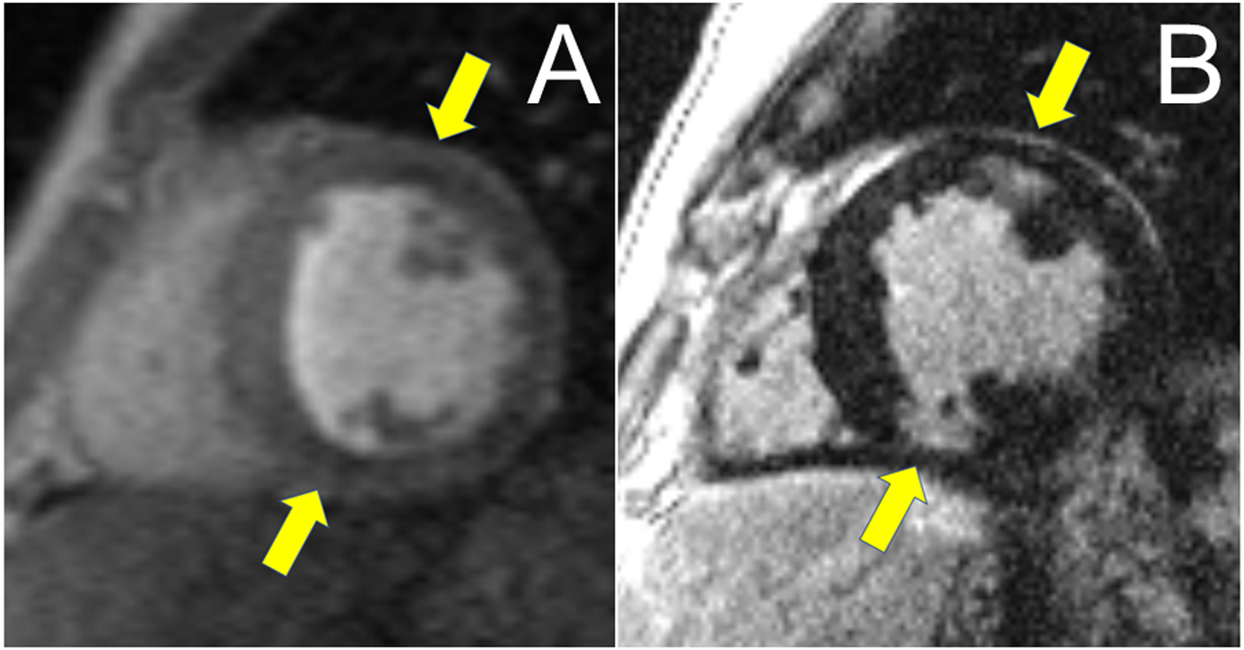 Figure 3: