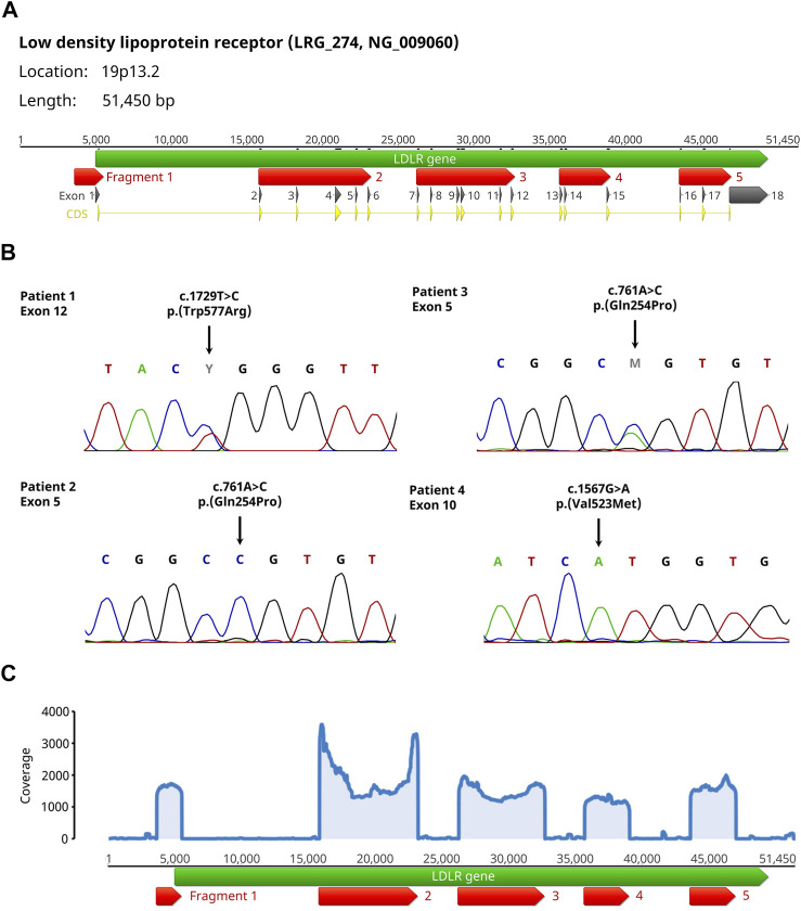 FIGURE 1