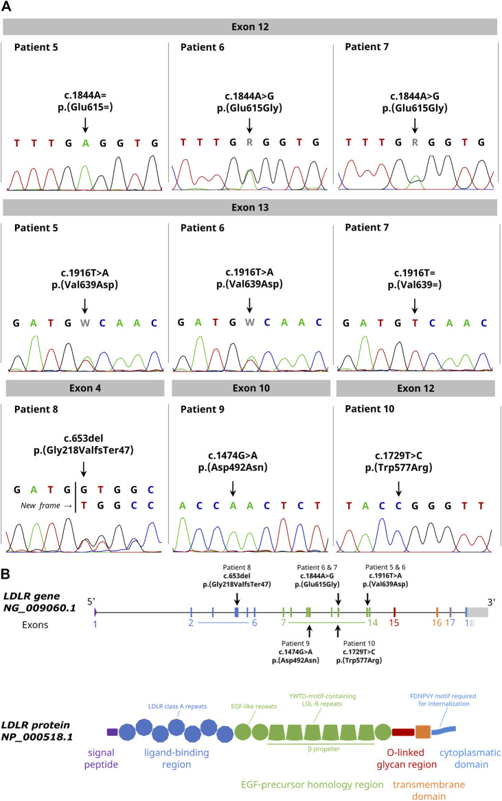 FIGURE 2