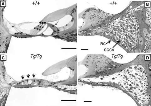 Figure 1.