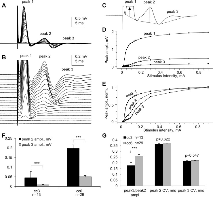 Fig 9