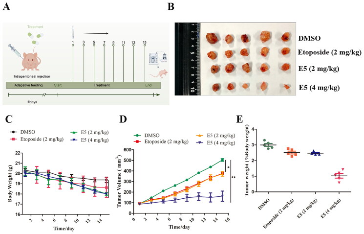 Figure 10.