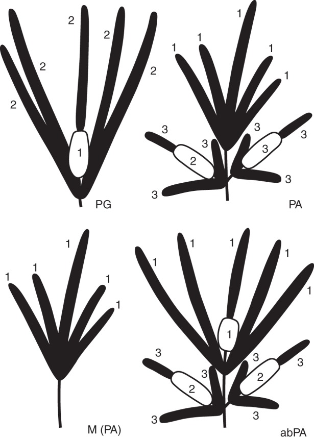 Fig. 1.