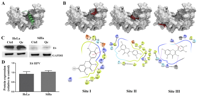 Figure 7.