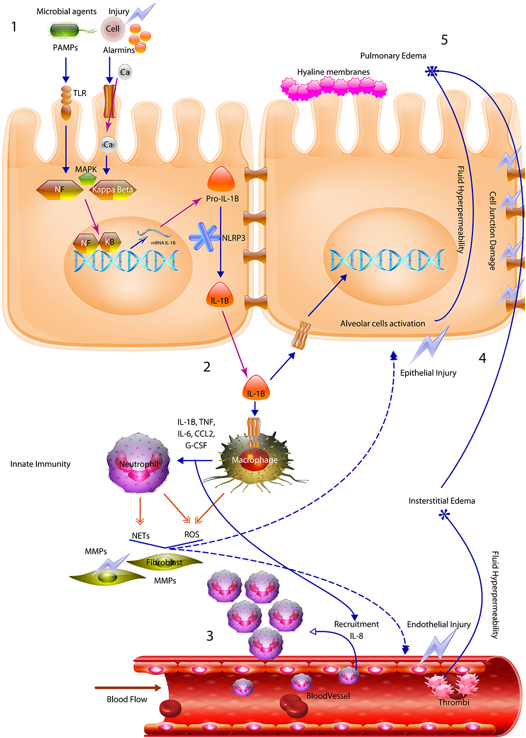 Figure 3.