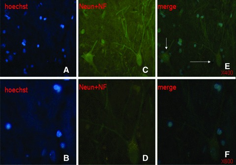 Fig 8