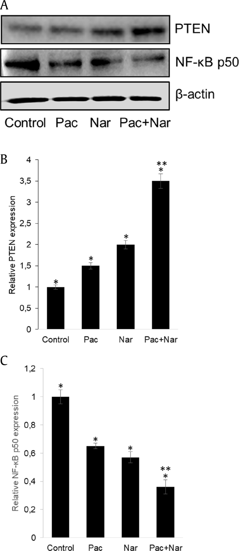 Fig. 7