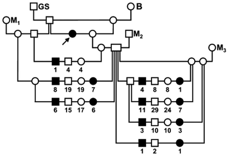 Figure 8