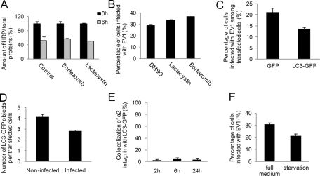 FIGURE 6: