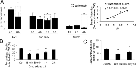 FIGURE 5: