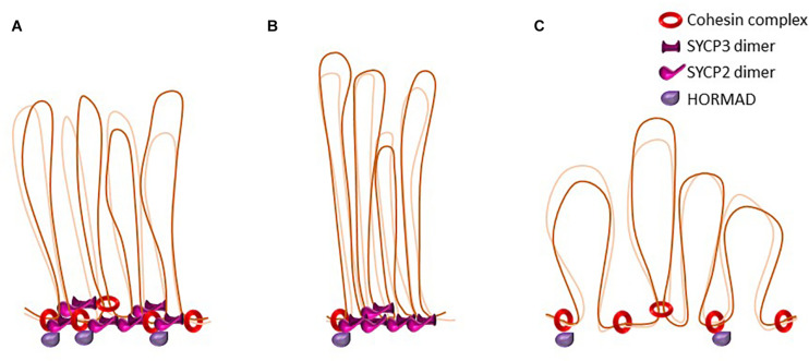 FIGURE 3