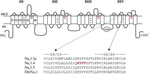 FIGURE 1.