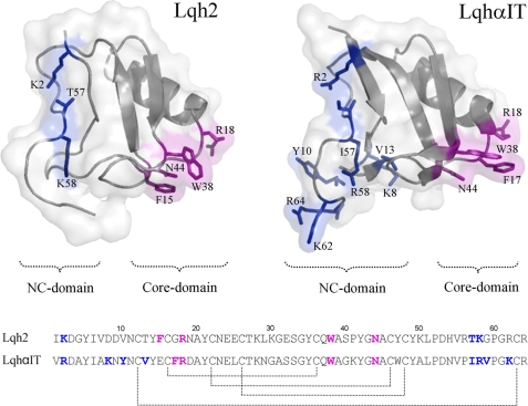 FIGURE 2.