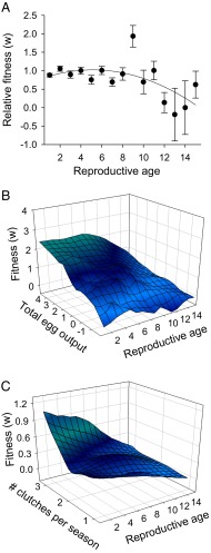 Fig. 3.