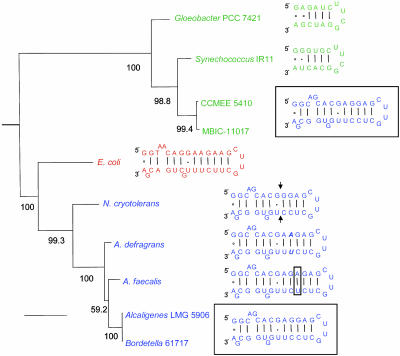 Fig. 6.