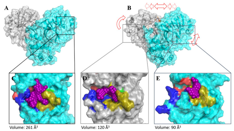 Figure 7