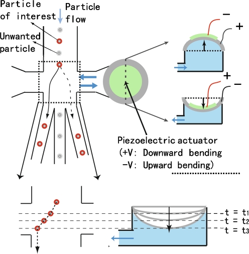 Fig. 1