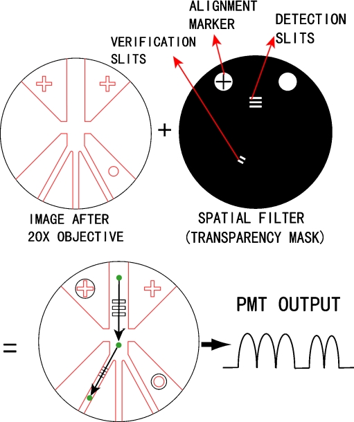 Fig. 4