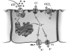 Fig. 9.