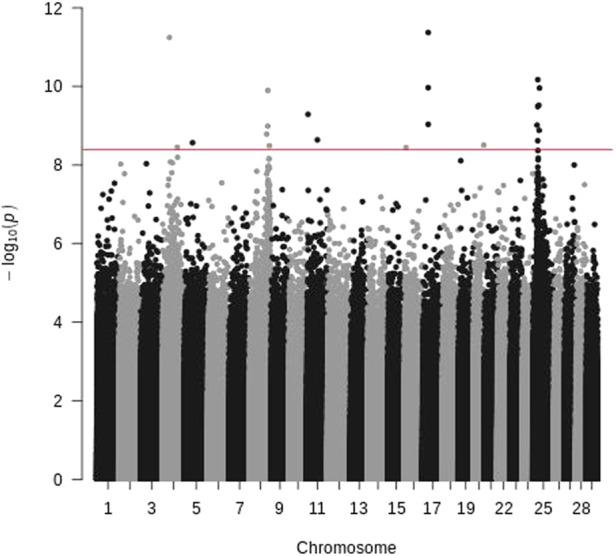 FIGURE 3