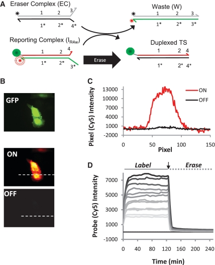 Figure 6.