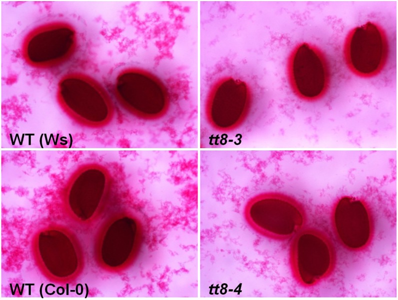 Figure 5.