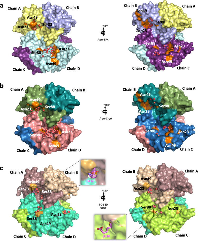 Fig. 4