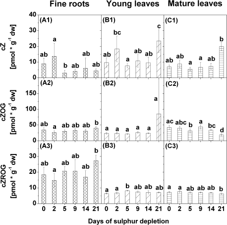 Fig. 7.