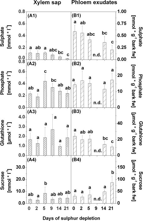 Fig. 10.