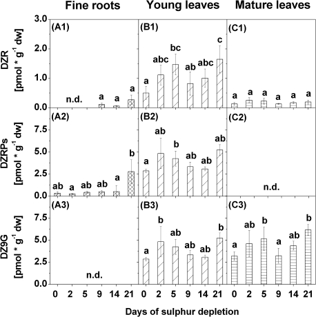 Fig. 8.