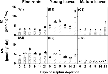 Fig. 6.