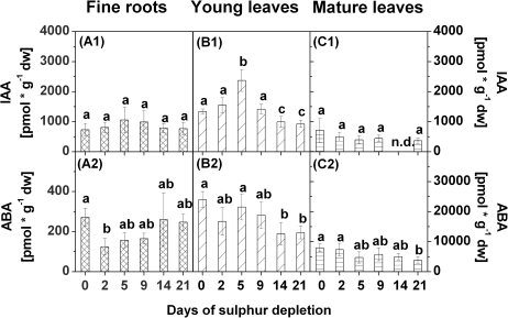 Fig. 9.