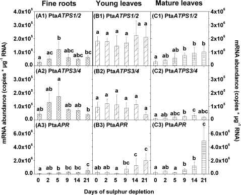 Fig. 4.