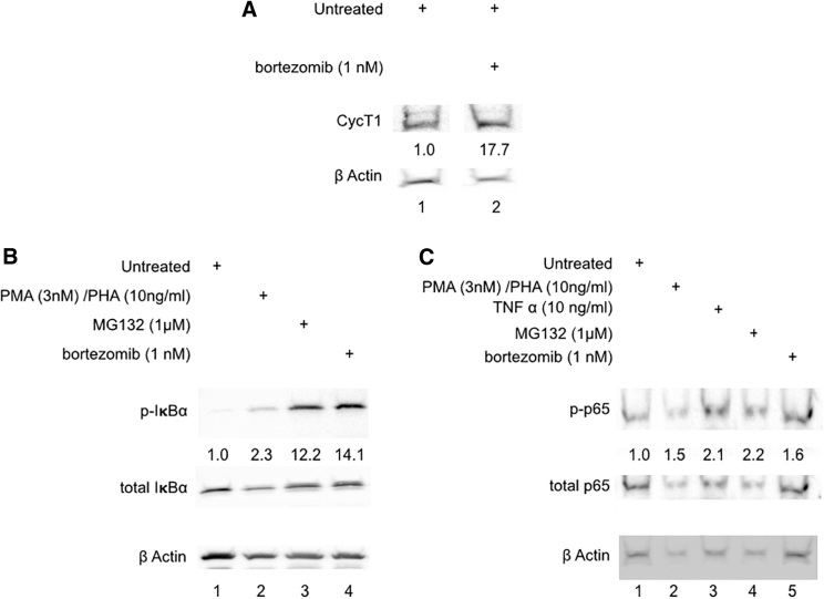 FIG. 4.