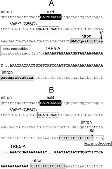 FIG. 7.