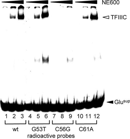 FIG. 5.