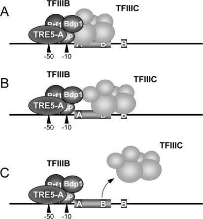 FIG. 10.