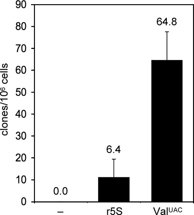 FIG. 8.