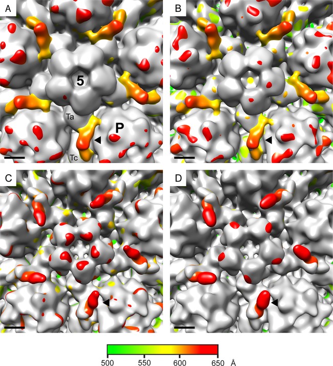 FIG 4